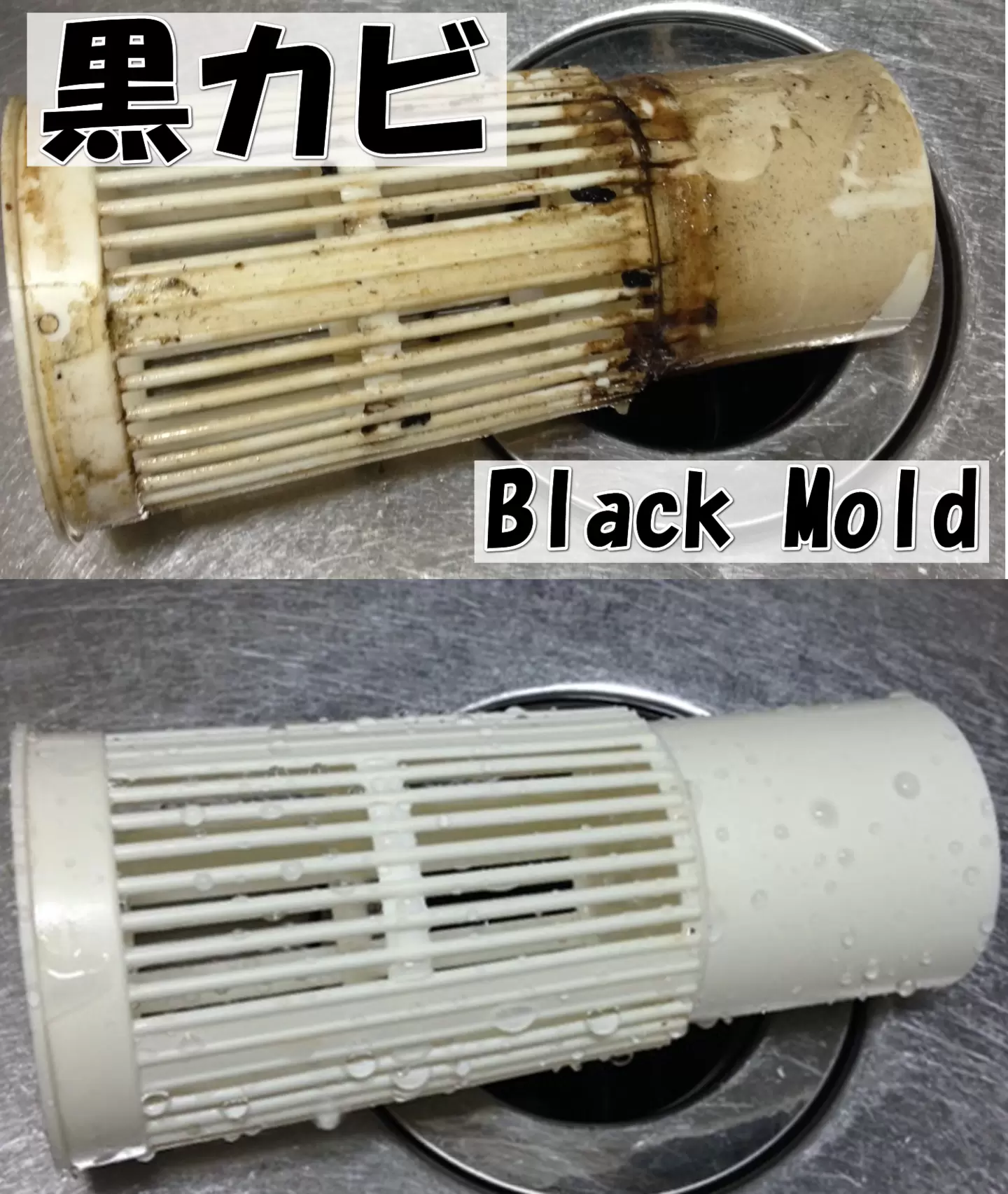 BIONAC ビフォーアフター 2（クリックで拡大）